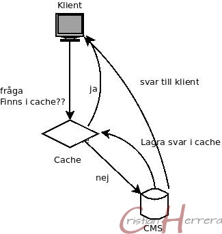 Vilket är snabbast, gammal hederlig HTML eller cache?