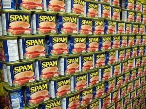 Så trött på alla spambloggar…