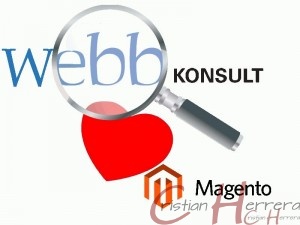 Webb-konsult erbjuder hosting för magento.