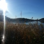 20121027_132834