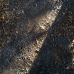 20121027_132845